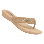 500391-12.PY_.png
